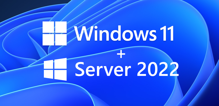 VPS Windows – Puterea unui server dedicat cu simplitatea Windows
